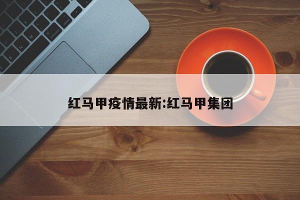 红马甲疫情最新:红马甲集团