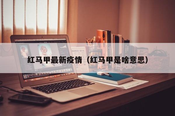 红马甲最新疫情（红马甲是啥意思）