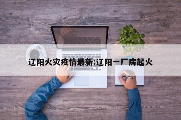 辽阳火灾疫情最新:辽阳一厂房起火