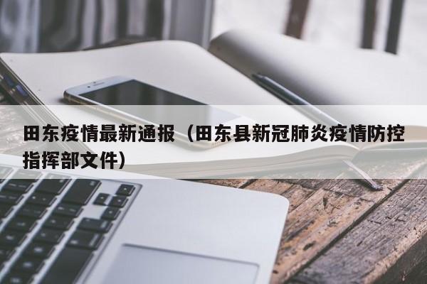 田东疫情最新通报（田东县新冠肺炎疫情防控指挥部文件）